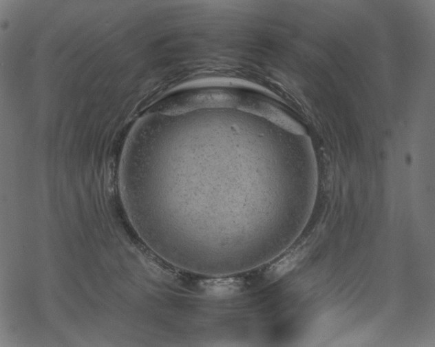 X0000070190273200605261205