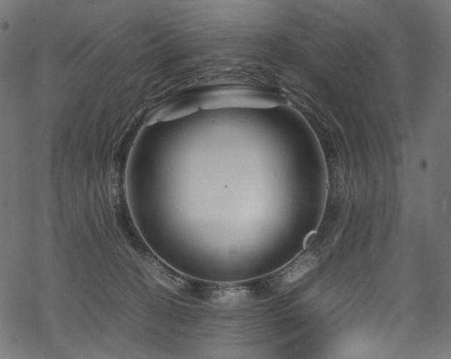 X0000070190274200605261205