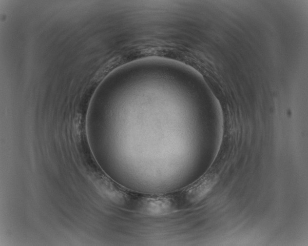 X0000070190275200605261205