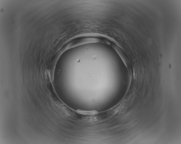 X0000070190276200605261205