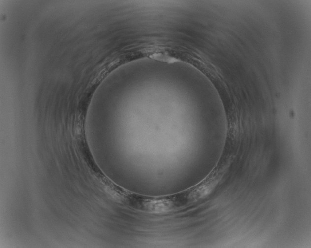 X0000070190277200605261205