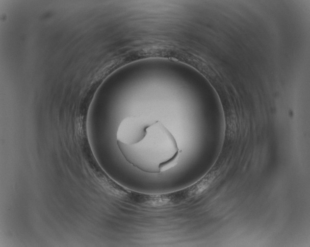 X0000070190278200605261205