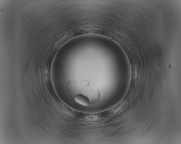 X0000070190279200605261205