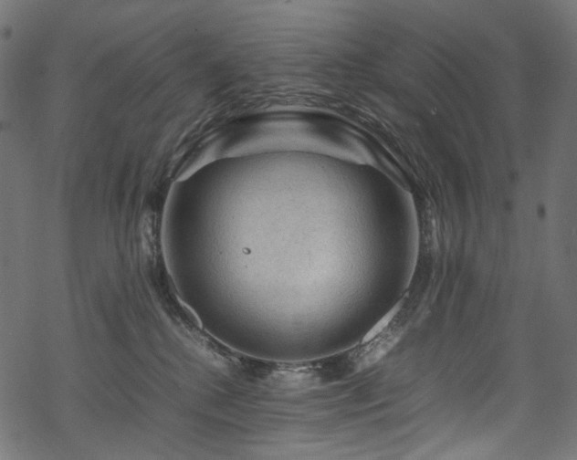 X0000070190280200605261205