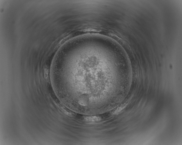 X0000070190281200605261205