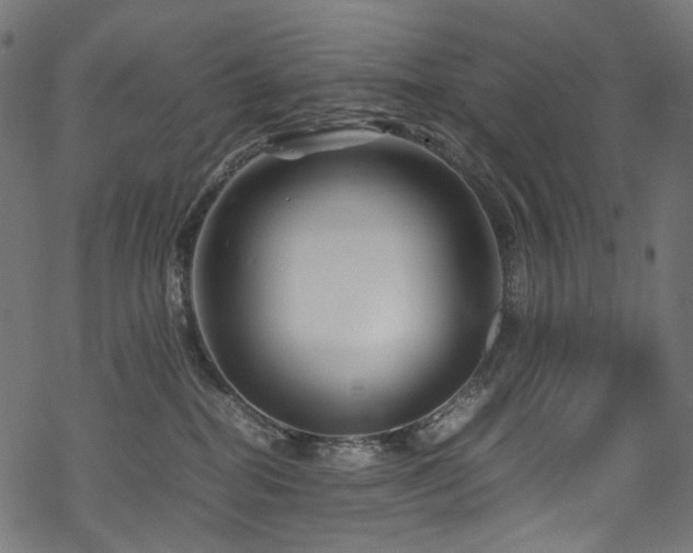 X0000070190282200605261205