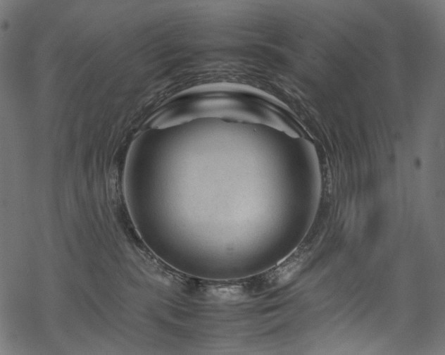 X0000070190283200605261205