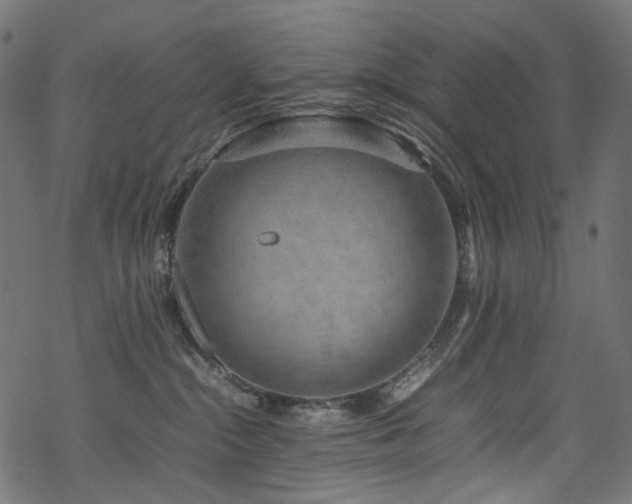 X0000070190284200605261205