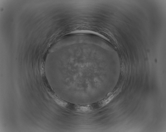 X0000070190285200605261205