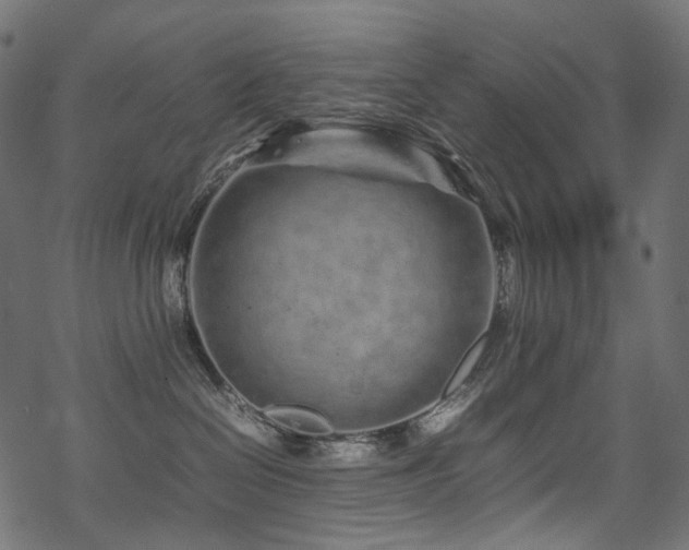 X0000070190286200605261205