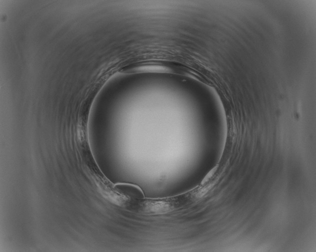 X0000070190287200605261205