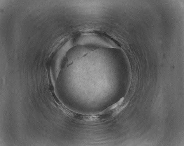 X0000070190288200605261205