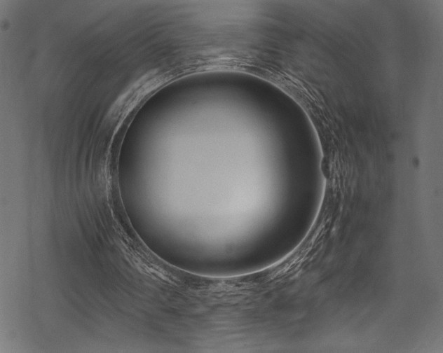 X0000070190290200605261204