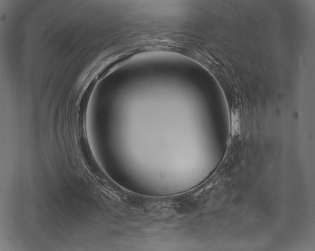 X0000070190291200605261204