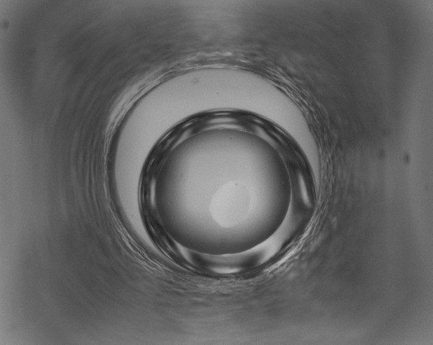 X0000070190293200605261204