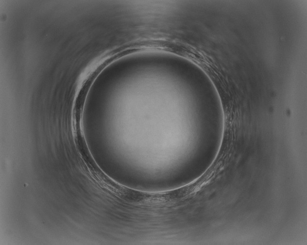 X0000070190294200605261204