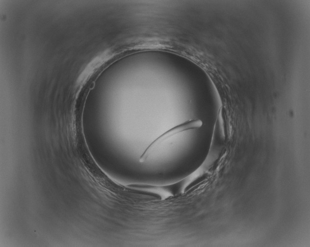 X0000070190296200605261204