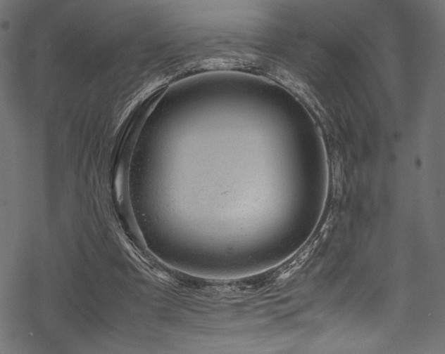 X0000070190297200605261204