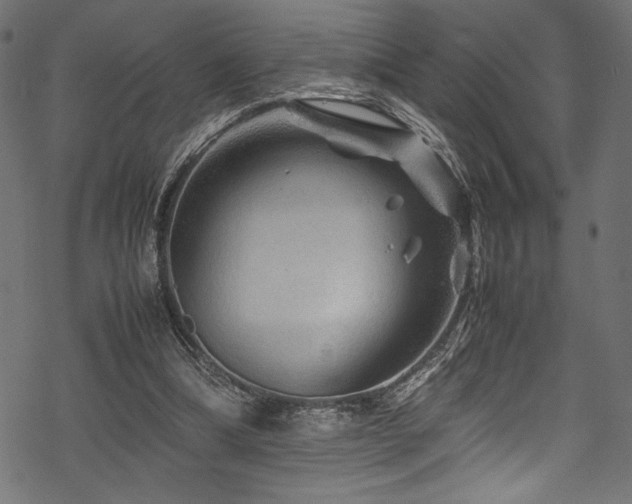 X0000070190298200605261204