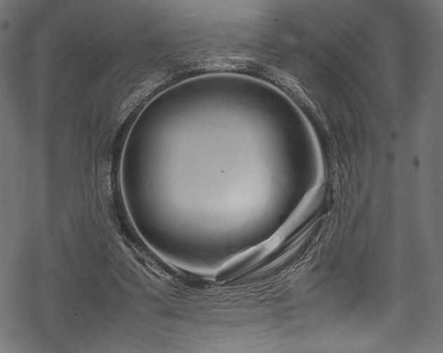 X0000070190299200605261204