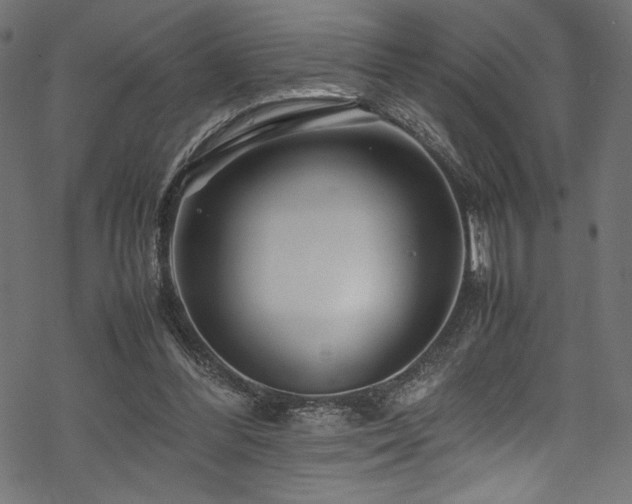 X0000070190300200605261204