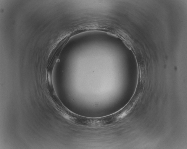 X0000070190301200605261204