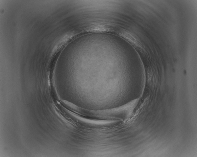 X0000070190302200605261204