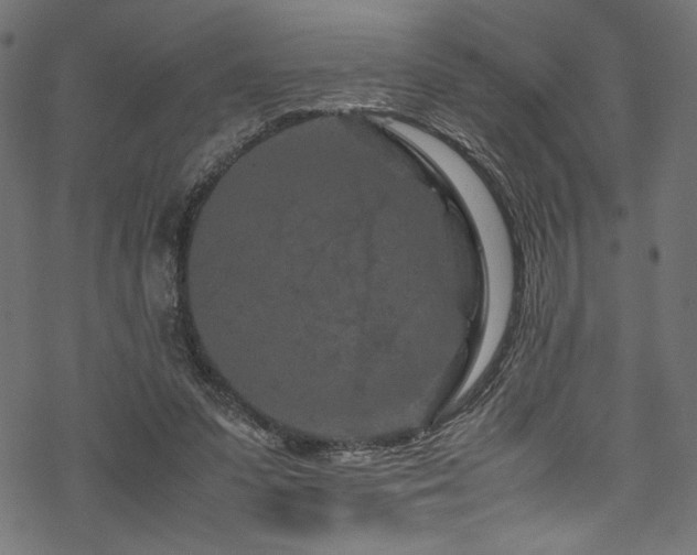 X0000070190303200605261204