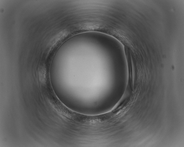 X0000070190304200605261204