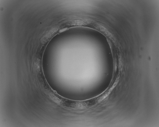 X0000070190305200605261204