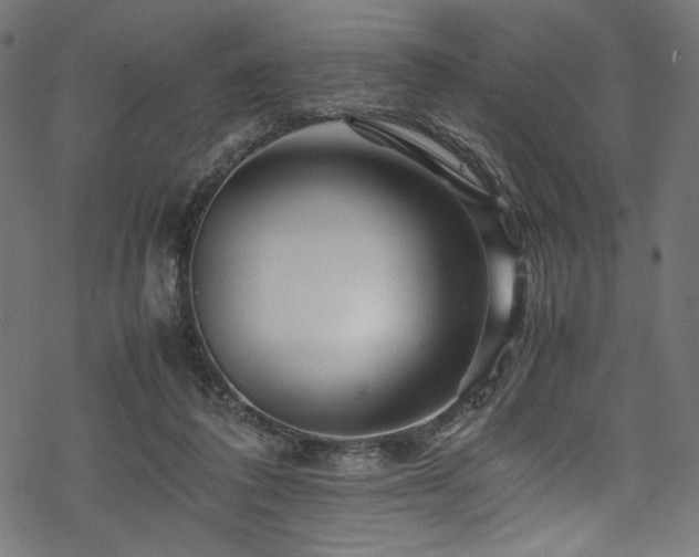 X0000070190308200605261204