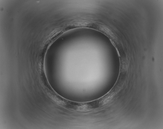 X0000070190309200605261204