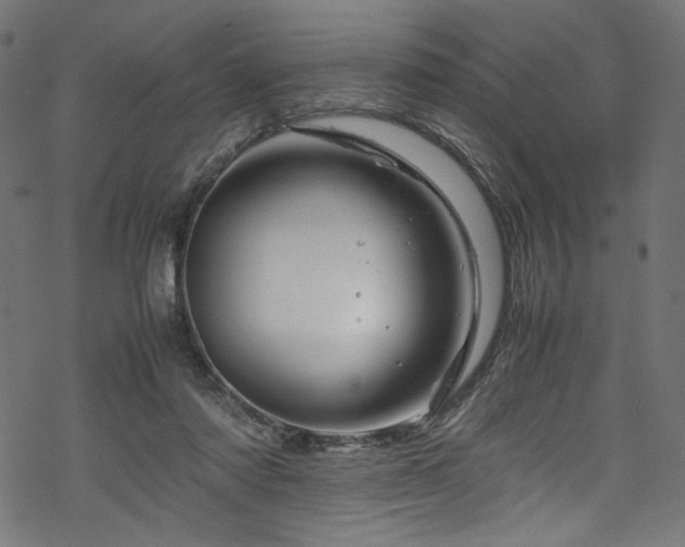 X0000070190310200605261204