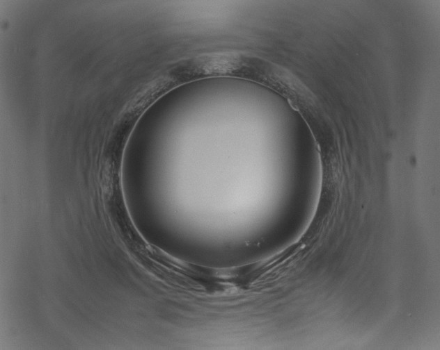 X0000070190311200605261204