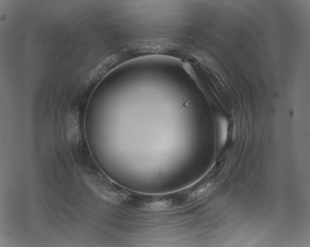 X0000070190312200605261204