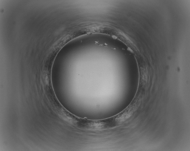 X0000070190313200605261204