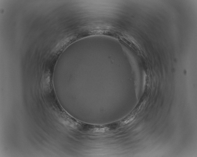 X0000070190314200605261204