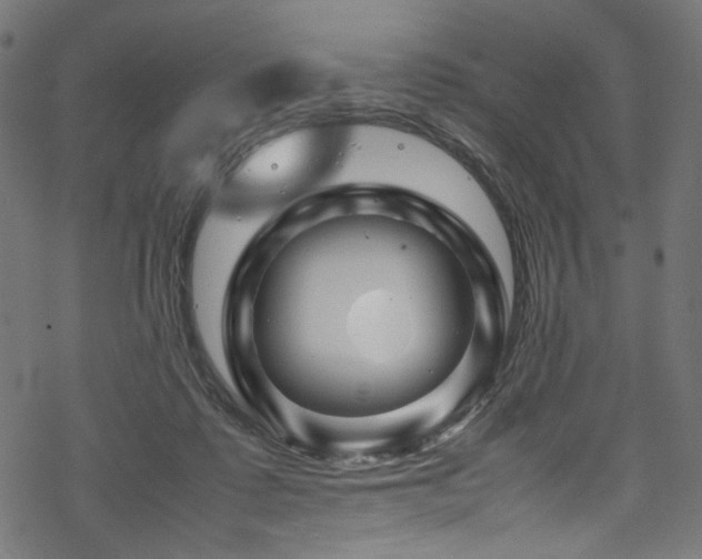 X0000070190315200605261204