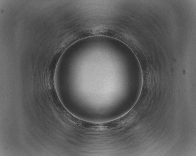 X0000070190316200605261204