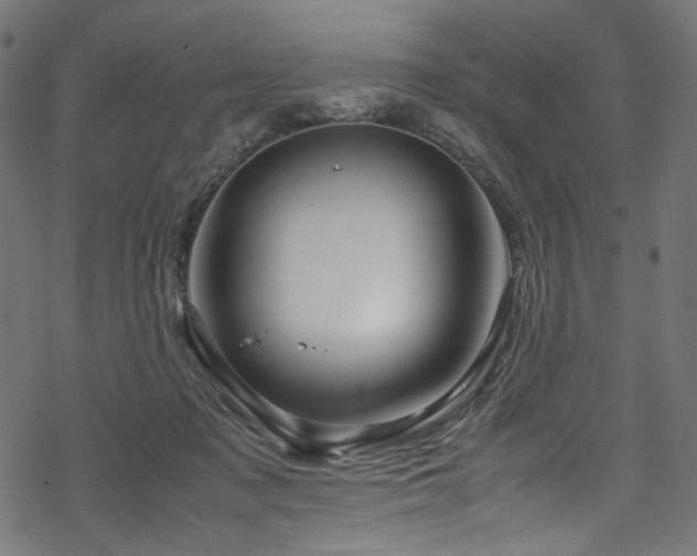 X0000070190317200605261204