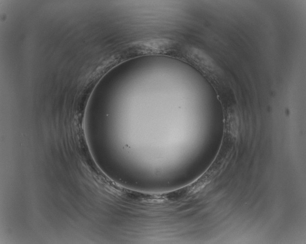 X0000070190318200605261204