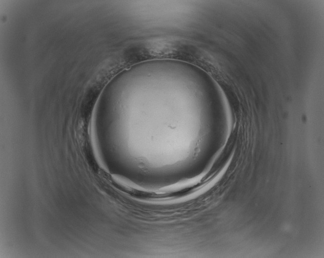 X0000070190319200605261204