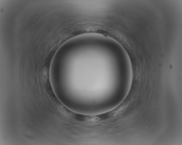 X0000070190321200605261204