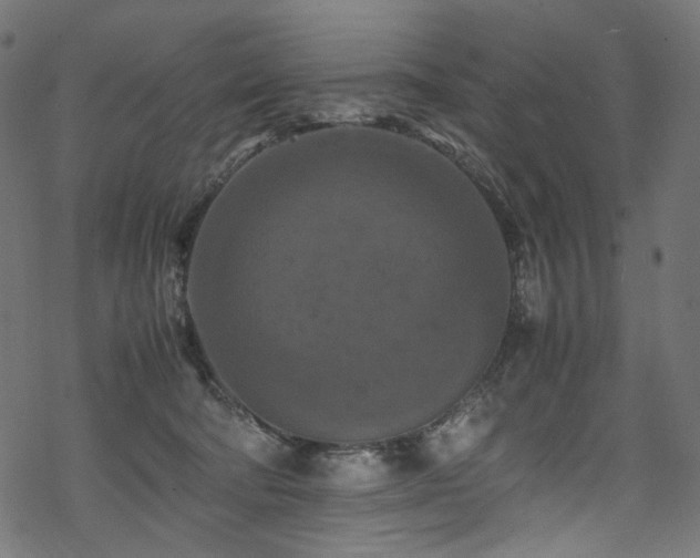 X0000070190322200605261204