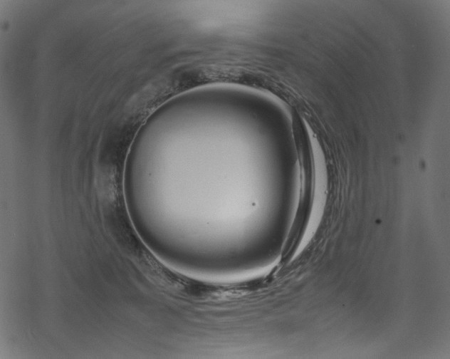 X0000070190323200605261204