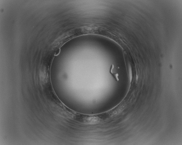 X0000070190324200605261204