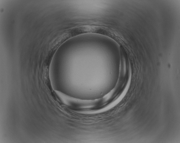 X0000070190325200605261204