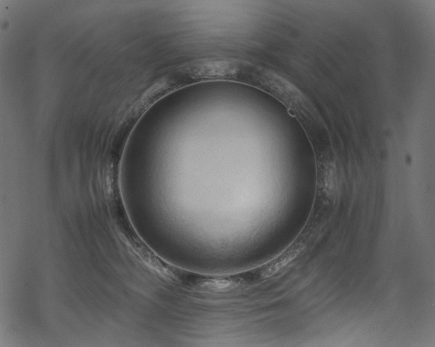 X0000070190326200605261204