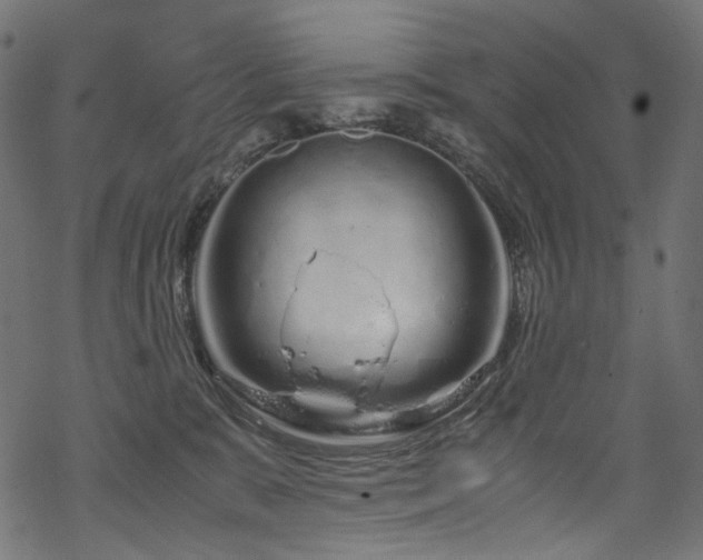 X0000070190327200605261204