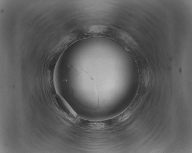 X0000070190328200605261204